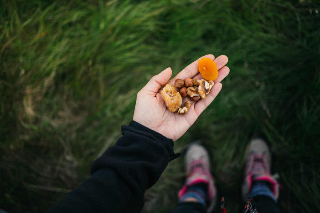 A dried fruit picnic is a healthy and delicious option for a day trip. This type of snack has many benefits including: high nutrient density, long shelf life, light weight and great taste. Dried fruits are rich in energy, fiber and vitamins - the perfect choice for your next hiking trip!